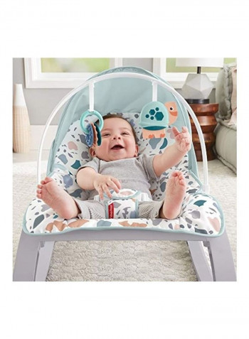 Deluxe Infant-To-Toddler Rocker