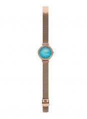 Women's Anita Water Resistant Stainless Steel Analog Watch SKW2977