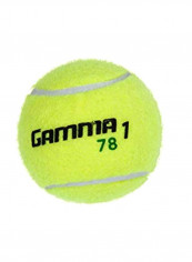Pack Of 60 Practice Tennis Ball