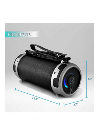 Portable Bluetooth Speaker PBMSPG16 Black/Silver