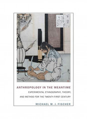 Anthropology in the Meantime: Experimental Ethnography, Theory, and Method for the Twenty-First Century Hardcover 1