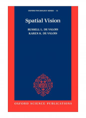 Spatial Vision Paperback