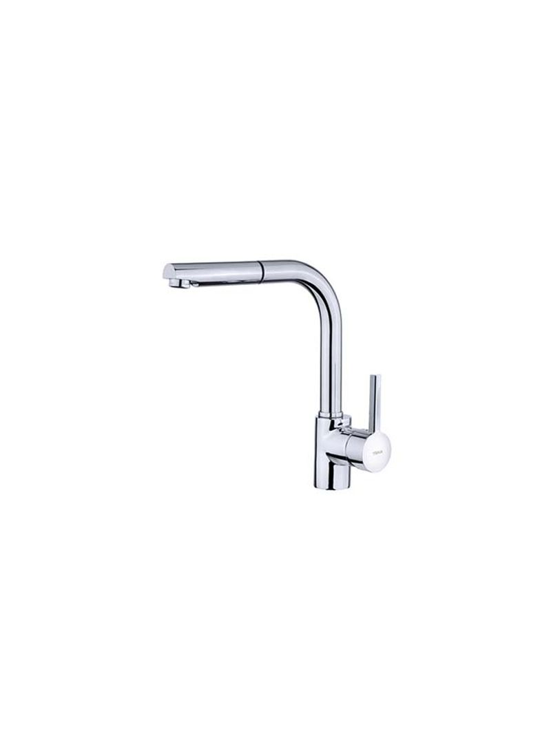 Kitchen Sink Pull-Out Shower Spout Silver