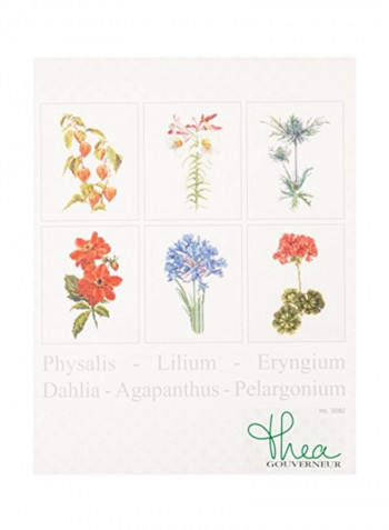 Pack Of 6 Cross Stitch Kit أحمر / أزرق / أخضر