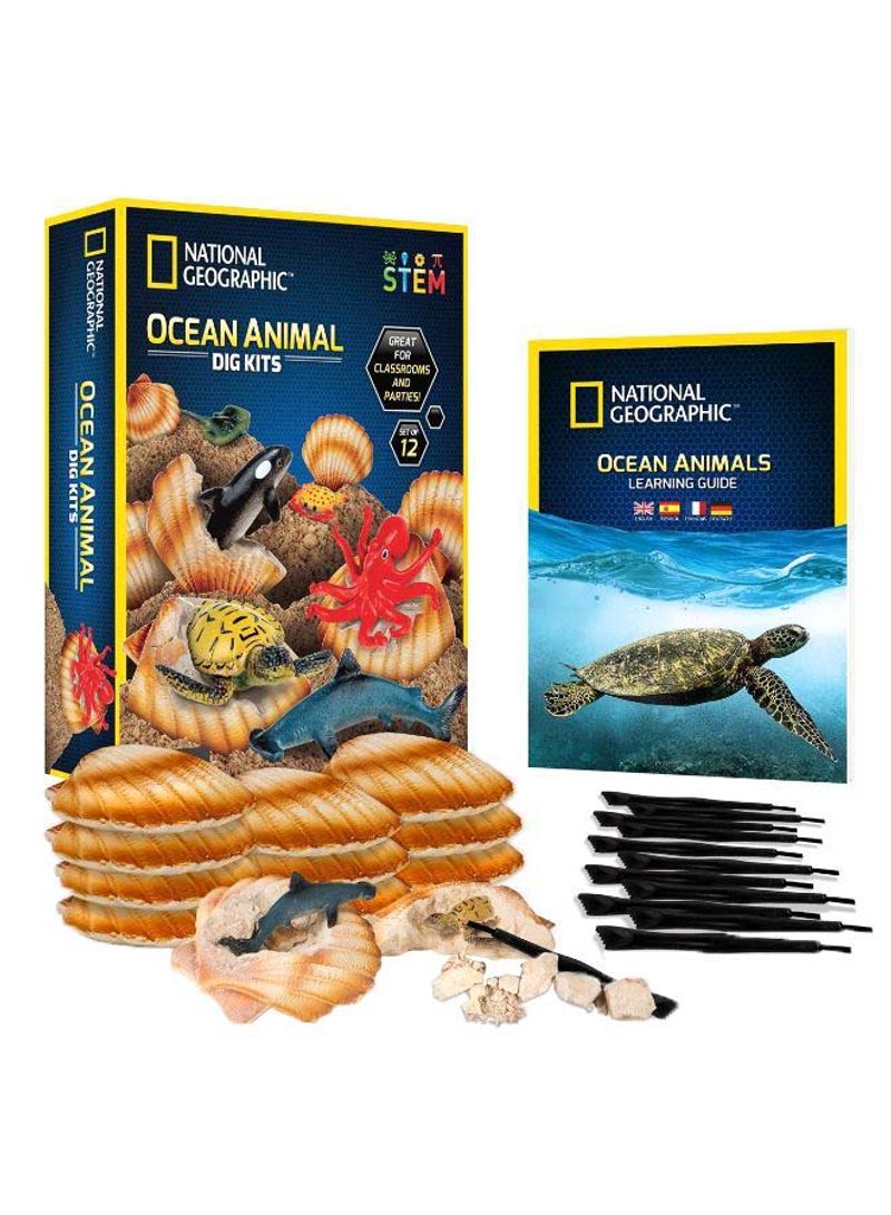 Ocean Animal Dig Kit