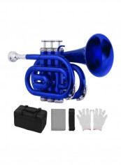 Pack Of 5 Mini Pocket Trumpet Set With Pair Of Gloves, Cleaning Cloth, Carrying Case And Strap reviews Pack Of 5 Mini Pocket Trumpet Set With Pair Of Gloves, Cleaning Cloth, Carrying Case And Strap
