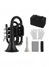 Pack Of 6 Mini Pocket Trumpet Set reviews Pack Of 6 Mini Pocket Trumpet Set