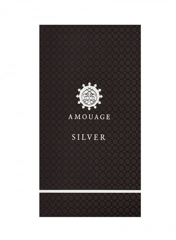 Silver EDP 100ml