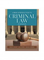 A Brief Introduction To Criminal Law Paperback 2