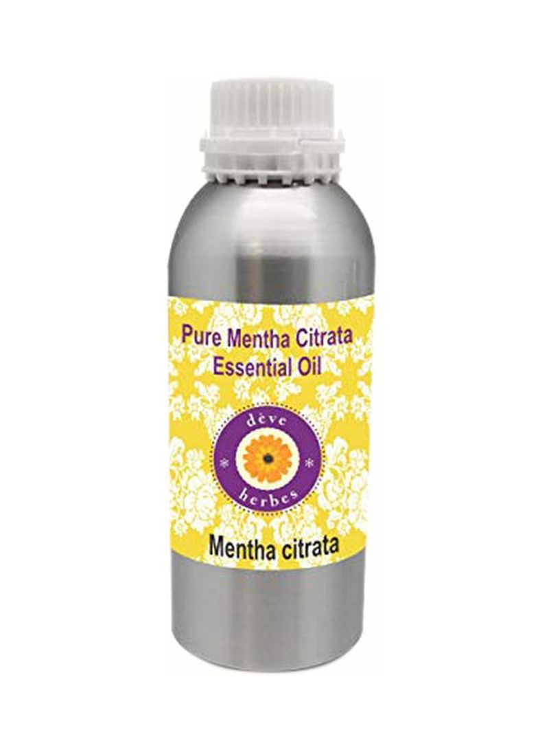 Pure Mentha Citrata Essential Oil 1250ml