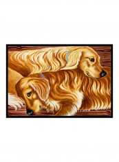 Color Printed Doormat Multicolour 18x27x0.25inch