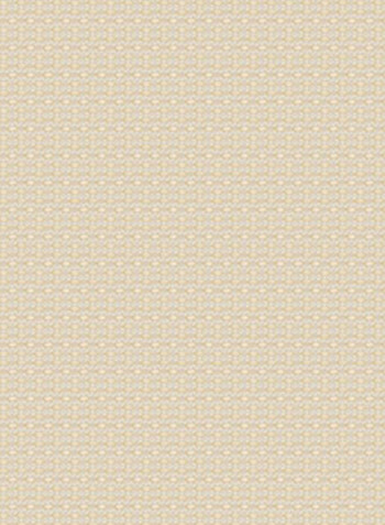 Single Sunscreen Collection 2 Roller Window Shade Beige 240x150cm