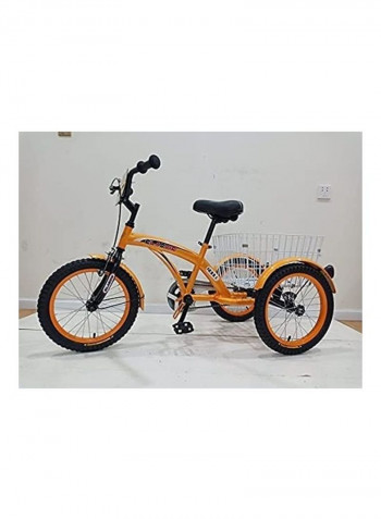 Classic Cargo Tricycle