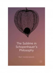 The Sublime In Schopenhauer's Philosophy Hardcover