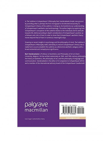 The Sublime In Schopenhauer's Philosophy Hardcover