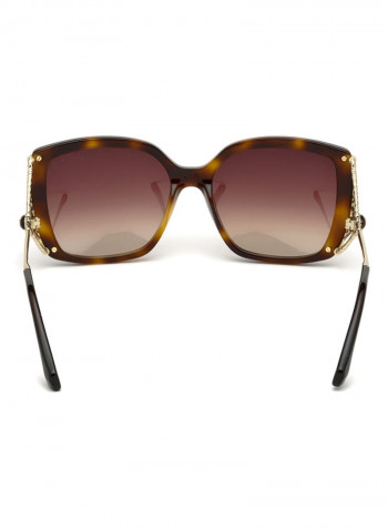 Women's Gaiole Butterfly Sunglasses - Lens Size: 55 mm