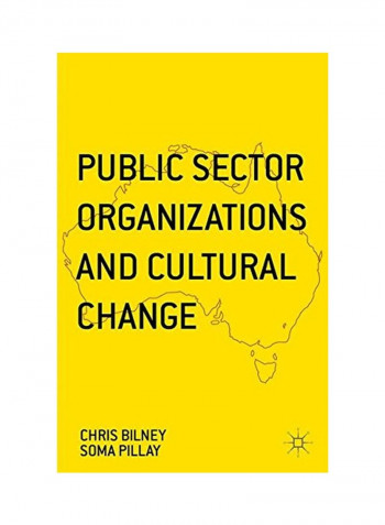 Public Sector Organizations And Cultural Change Hardcover