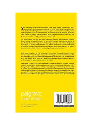 Public Sector Organizations And Cultural Change Hardcover