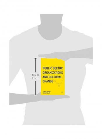 Public Sector Organizations And Cultural Change Hardcover