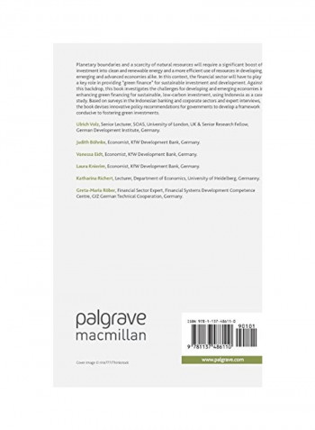 Financing The Green Transformation Hardcover