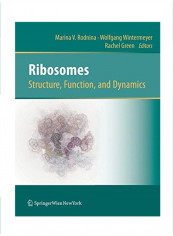 Ribosomes Structure, Function, and Dynamics Hardcover 1
