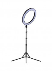 Professional Colour Digital Ring Video Light Black/white