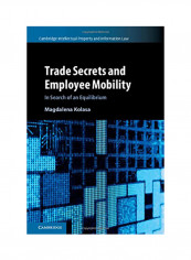 Trade Secrets And Employee Mobility : Volume 44: In Search Of An Equilibrium Hardcover