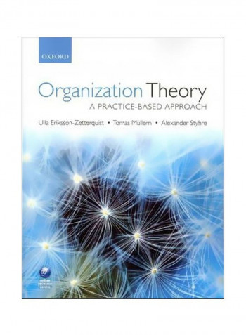 Organization Theory: A Practice Based Approach Paperback