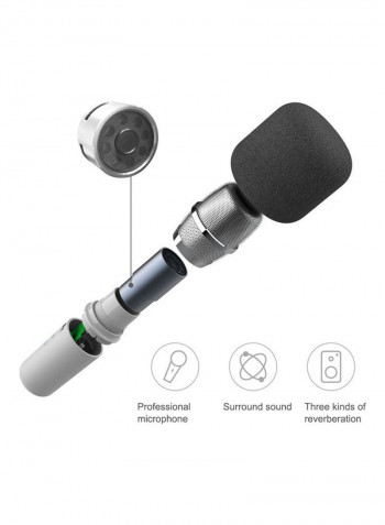 Personal Speaker With Microphone Set Grey