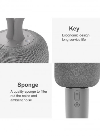 Personal Speaker With Microphone Set Grey