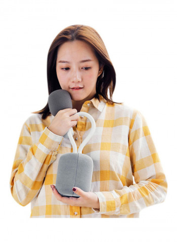 Personal Speaker With Microphone Set Grey