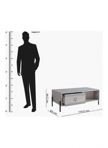 Mabel Coffee Table Grey 60x44.2x119.5cm