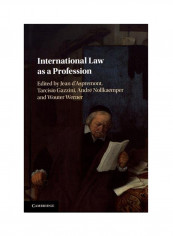 International Law As A Profession Hardcover