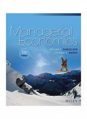 Managerial Economics Paperback