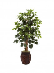 Ficus Tree With Decorative Planter Green
