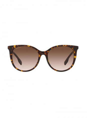 Women's Full-Rim Cat Eye Sunglasses