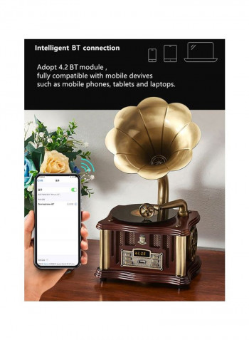 Multi Mode Mini Gramophone 8831A Gold/Black