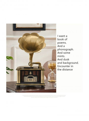 Multi Mode Mini Gramophone 8831A Gold/Black