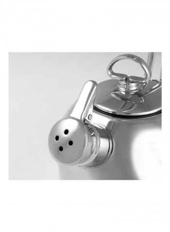 Stainless Steel Tea Kettle Silver