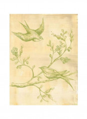 Canvas Birds Printed Wall Art Green/Brown 18x24inch