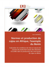 Normes Et Production De Cajou En Afrique, L''Exemple Du Benin Paperback