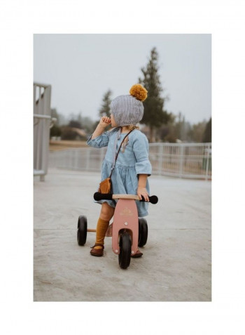 Tiny Tot Toddler No Pedal Starter Balance Bike Tricycle