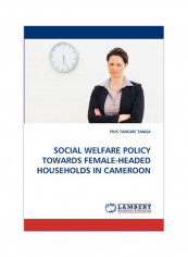 Social Welfare Policy Towards Female-Headed Households In Cameroon Paperback