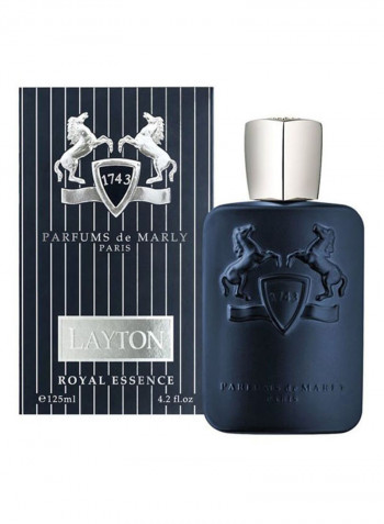 Layton EDP 75ml