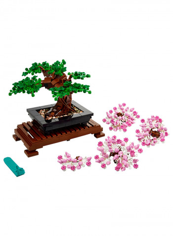Bonsai Tree