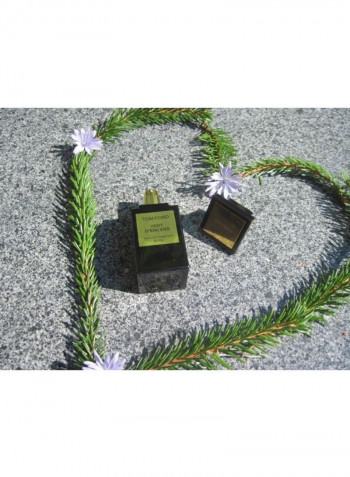 Vert D'Encens EDP 50ml