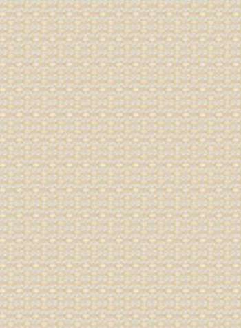 Single Sunscreen Collection 2 Roller Blind Shade Cream 200x150cm