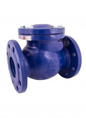 Swing Check Valve Blue/Silver 3inch