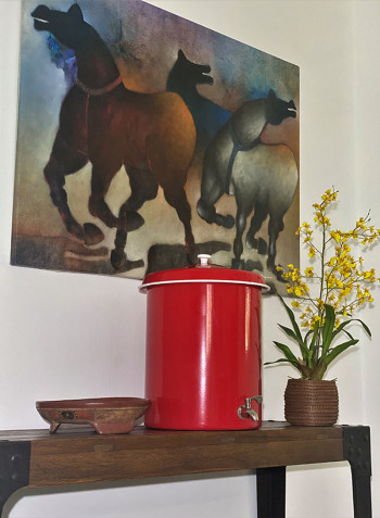 All-Natural Water Filter Red/Silver