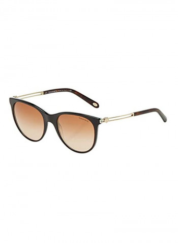 Women's Oval Shaped Sunglasses